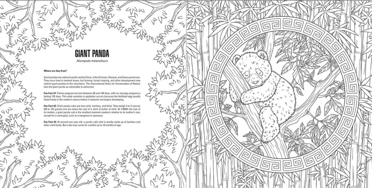 Baby Animals: A Smithsonian Coloring Book