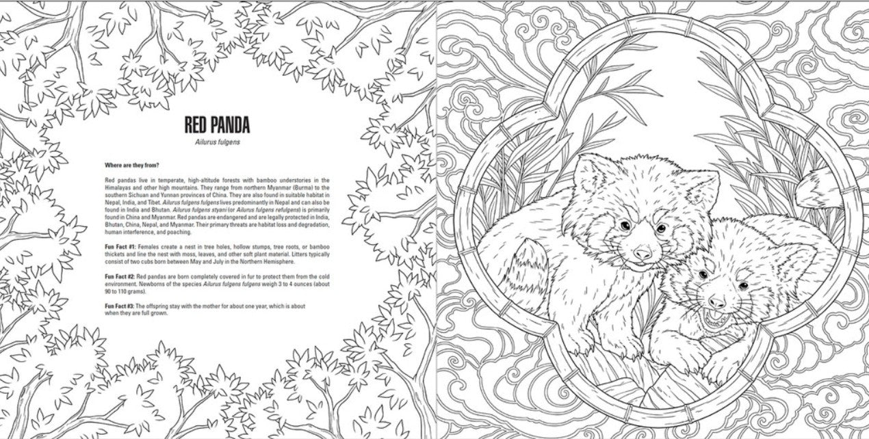 Baby Animals: A Smithsonian Coloring Book