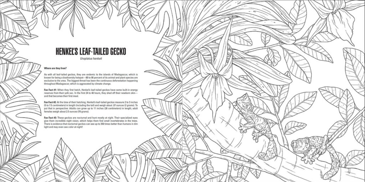 Baby Animals: A Smithsonian Coloring Book