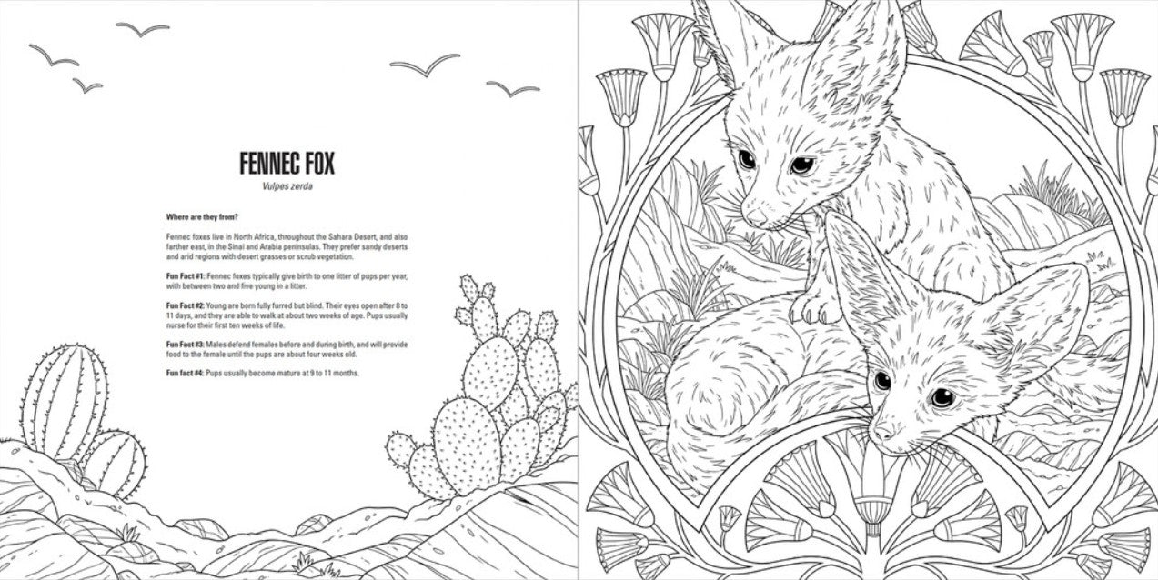 Baby Animals: A Smithsonian Coloring Book