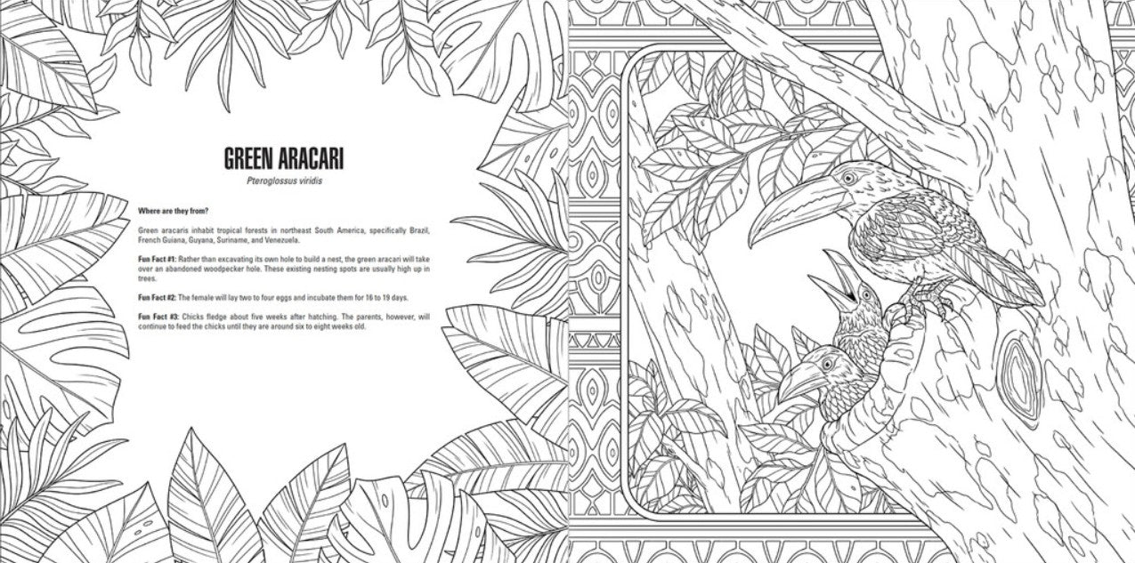 Baby Animals: A Smithsonian Coloring Book