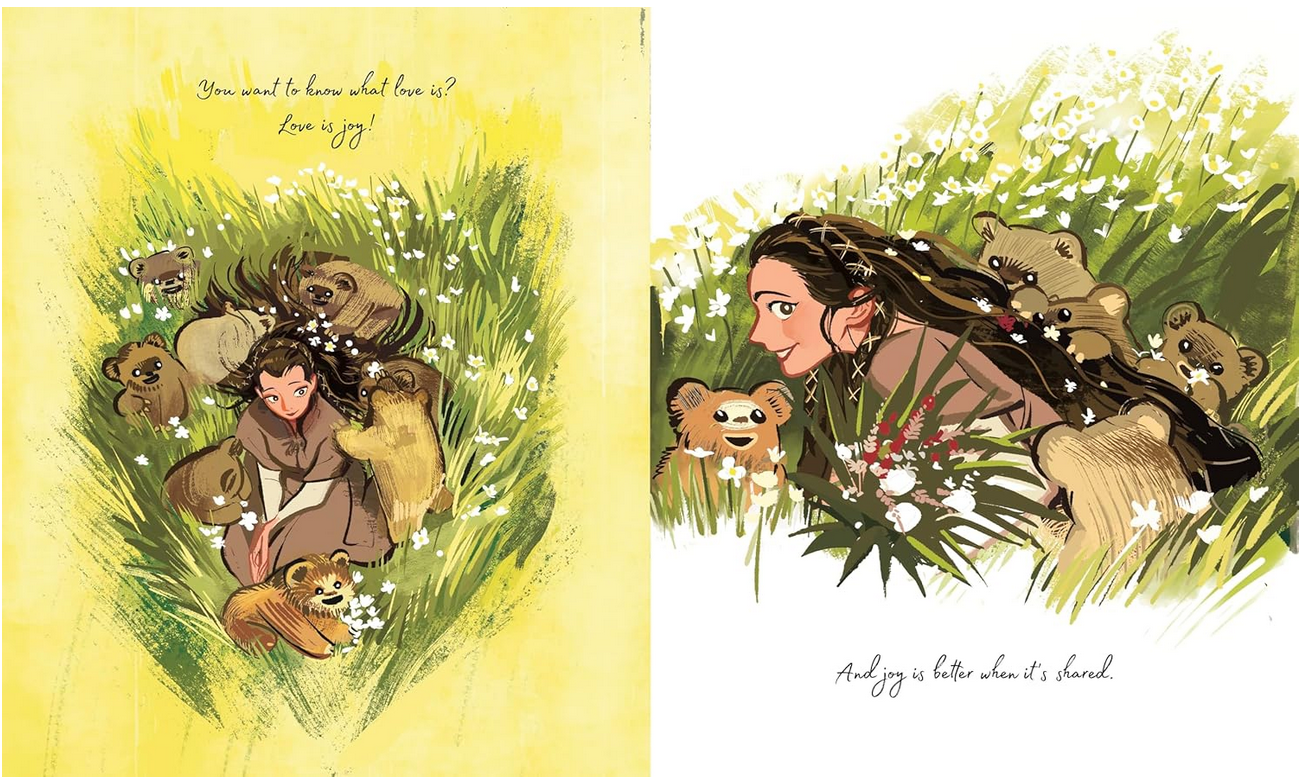 Star Wars: Someone Who Loves You Hardcover – Picture Book